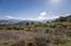 26735 Laureles Grade Road - SOLD (Image 16)
