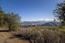 26735 Laureles Grade Road - SOLD (Image 20)