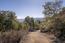 26735 Laureles Grade Road - SOLD (Image 4)