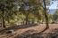 26735 Laureles Grade Road - SOLD (Image 6)