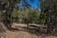 26735 Laureles Grade Road - SOLD (Image 7)