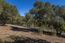 26735 Laureles Grade Road - SOLD (Image 8)