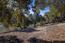 26735 Laureles Grade Road - SOLD (Image 10)