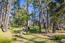 Real estate in Pebble Beach (Image 5)