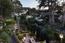 Real estate in Carmel Highlands (Image 39)