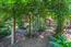 Luxury Homes for sale in Carmel Valley (Image 28)