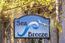 Luxury Homes in Carmel-by-the-Sea (Image 4)
