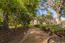 Luxury Homes in Pacific Grove (Image 15)