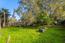 Luxury Homes in Pacific Grove (Image 16)