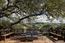 Luxury Houses for sale in Carmel Valley (Image 10)
