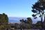 Real estate in Monterey