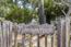 Luxury Houses for sale in Carmel-by-the-Sea