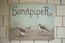 SAND PIPER (Image 20)