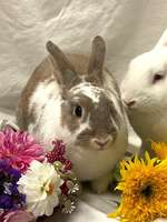 Image of Press Release #875