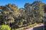 40 Shepherd's Knoll - SOLD (Image 33)