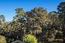 40 Shepherd's Knoll - SOLD (Image 34)