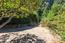 Luxury Houses for sale in Big Sur (Image 37)