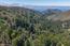 Real estate in Big Sur (Image 58)