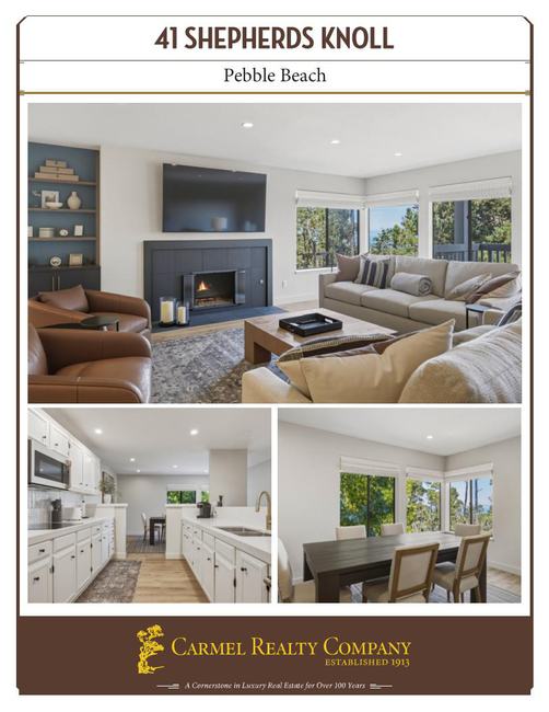 Property Flyer