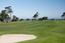 990 Coral Drive - SOLD (Image 7)
