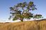 33 Rancho San Carlos Road - SOLD (Image 11)