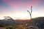 33 Rancho San Carlos Road - SOLD (Image 12)