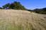 33 Rancho San Carlos Road - SOLD (Image 5)