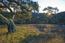 33 Rancho San Carlos Road - SOLD (Image 6)