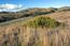 33 Rancho San Carlos Road - SOLD (Image 8)