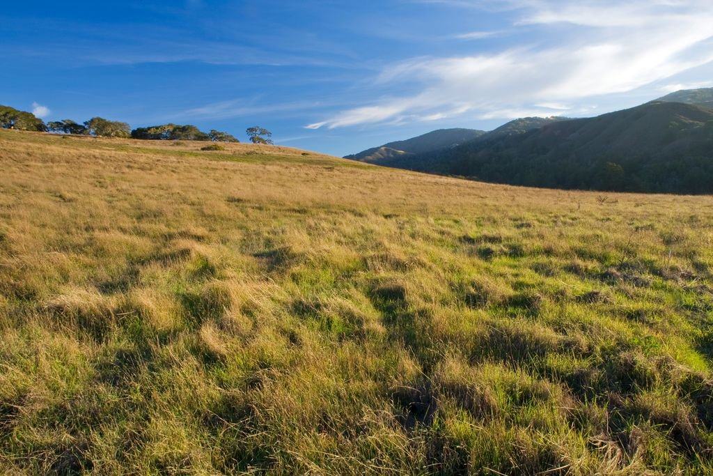 33 Rancho San Carlos Road - SOLD, Carmel