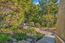 3575 Edgefield Place - SOLD (Image 37)