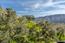 36 Encina Drive - SOLD (Image 37)