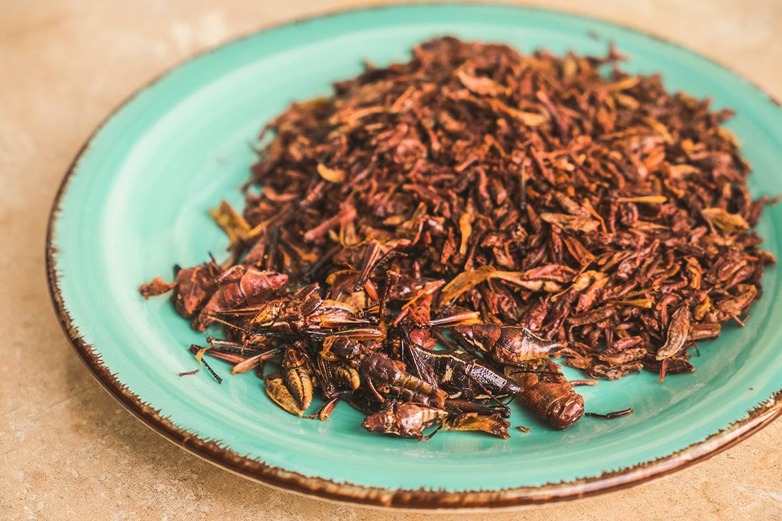 Image of plated Grasshoppers in Carmel-by-the-Sea, CA