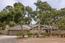 1158 Chaparral Road - SOLD (Image 2)