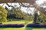 Rented (Image 4)