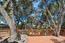11605 McCarthy Road - SOLD (Image 30)