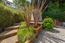 799 Grace Street - SOLD (Image 21)