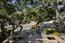 245 Vista Verde - SOLD (Image 5)