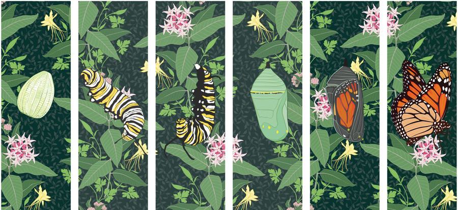 Jane Kim: Migrations