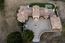 13 Rancho San Carlos Road (Image 47)