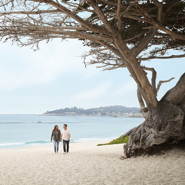 White Sand and Waves