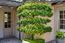 2825 14th Avenue (Image 49)