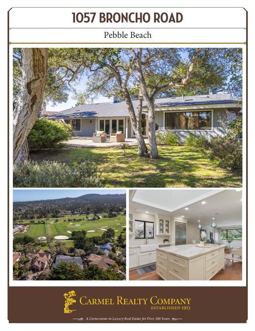 Property Flyer