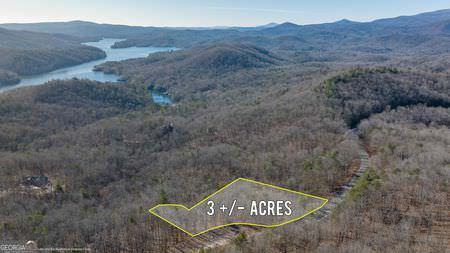 Real Estate Listing Photo - Forest Canopy Way