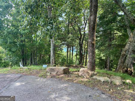 Real Estate Listing Photo - Lot 29 Lake Rabun Bluffs DR