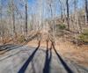 Forest Canopy Way, Clayton, GA - Thumbnail Image #3