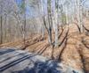 Forest Canopy Way, Clayton, GA - Thumbnail Image #4