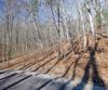 Forest Canopy Way, Clayton, GA - Thumbnail Image #6