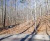 Forest Canopy Way, Clayton, GA - Thumbnail Image #7
