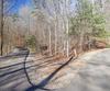 Forest Canopy Way, Clayton, GA - Thumbnail Image #8